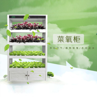 ԰ ȫֲ̬ ˮ豸 
ؼ: