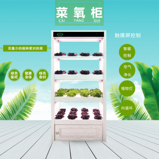 ȫ̬ ˮ豸 ֲ̬ 
ؼ: