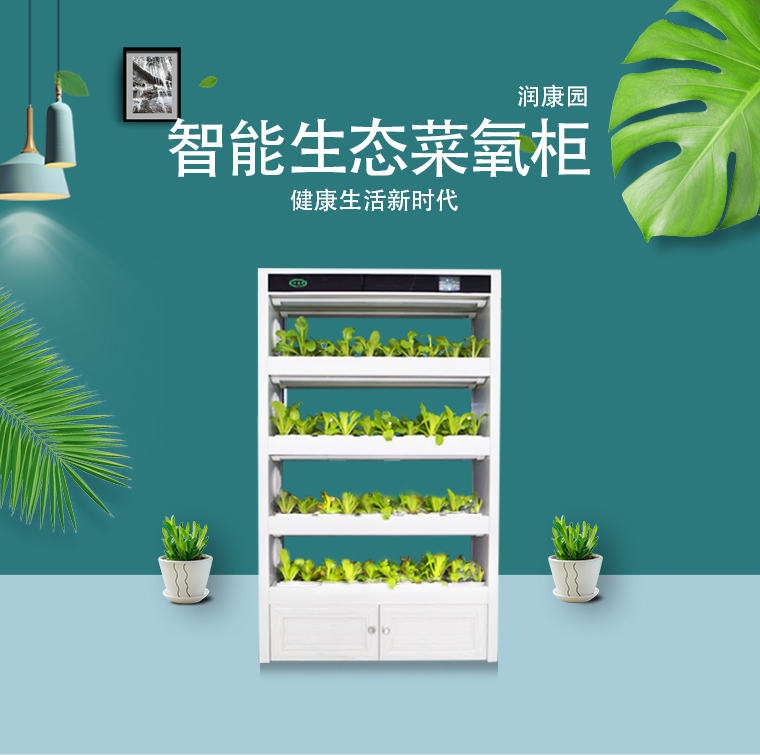԰ȫ̬ ˮ豸 ֲ̬ 
ؼ: