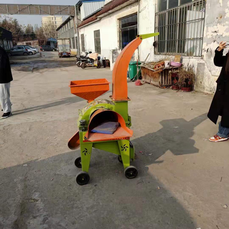 Сոա˿һ ഢϷ ʪвݻ 
ؼ: