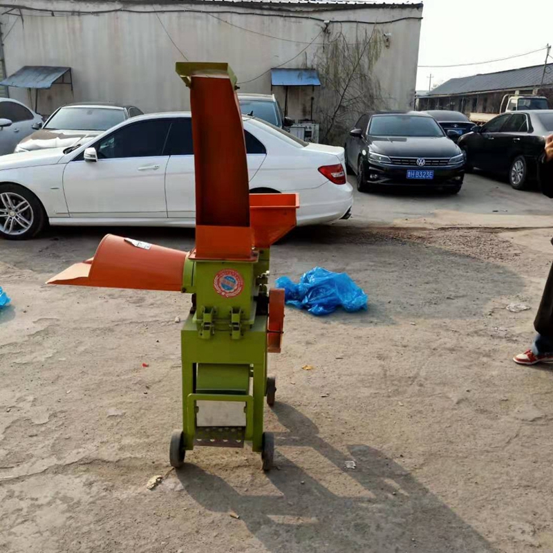 ֻա˿  ոʽաݻ  ֳţвݻ 
ؼ: