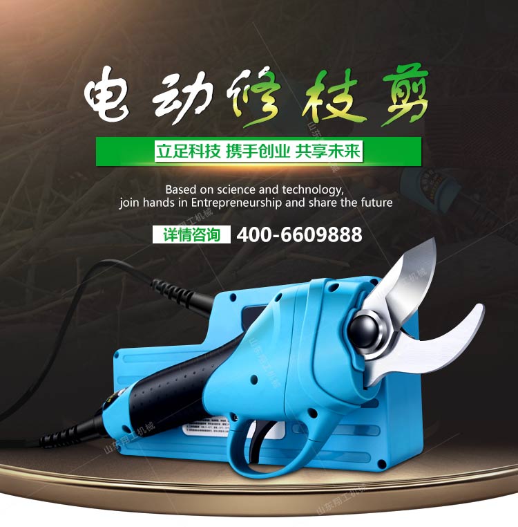 Ӧ蹤3ߵ綯֦ 
ؼ:2021-02-21