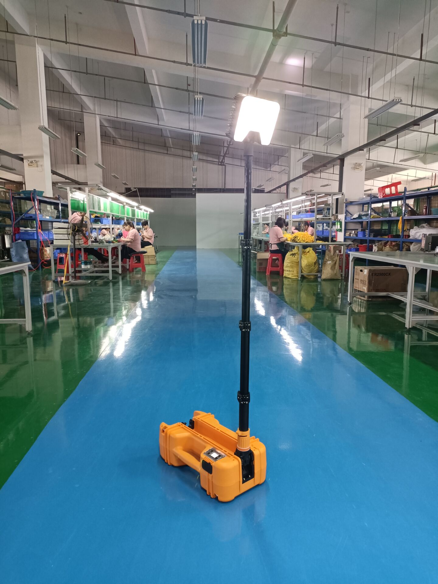 FW6116LEDƶ 
ؼ: