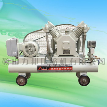 ѹ oil free gas compressor 
ؼ: