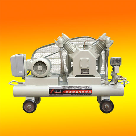 ѹ oil free gas compressor 
ؼ: