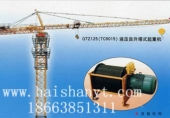 QTZ125QTZ125 Tower crane 
ؼ: