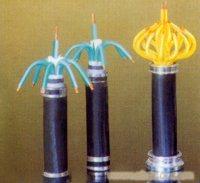 ZR-KVV22ZRC-KVV22ZRB-KVV22ZR-KVVP 
ؼ: