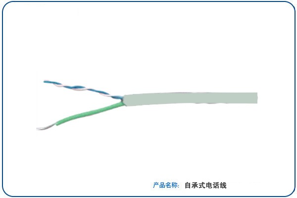 Ӧ4оͭо˫ʵ绰 
ؼ: