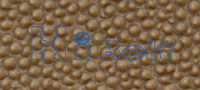 503,701 
ؼ: