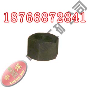 ɽĸ̼·׼ĸ18766872841 
ؼ: