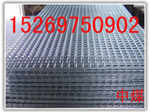 Ƭֽ纸Ƭ֧ƬƬ 
ؼ: