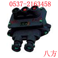 BZA10-123øͿưŤ 
ؼ: