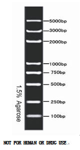  AL5000 DNA Marker  AL5000 DNA MarkerƷ 
ؼ: