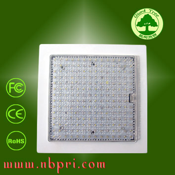 LED LED컨 LED F5ֱ ֱ Ƶ  
ؼ: