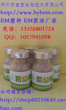 汦emҺԤemƷƼ 
ؼ: