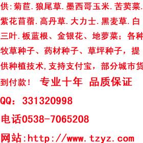  ī8493 
ؼ: