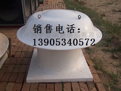 Żݵ̫ݶü۸ 
ؼ:
