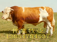 ӦֻԤӦƹ豸 
ؼ: