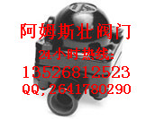 աϷʰķ˹׳ܴȫӦarmstrongˮ 
ؼ:2012-06-01