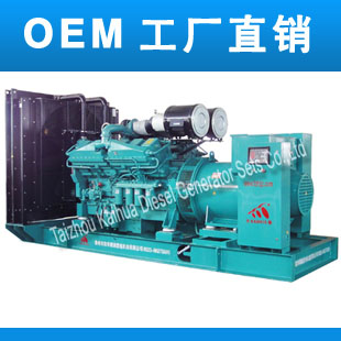 Ӧ800kw˹ͷ-տ˹OEM 
ؼ: