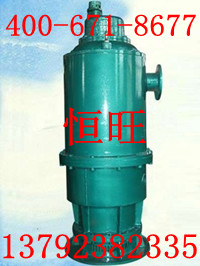BQS(W)100-40-30/NǱˮ 30KWɳǱˮ 
ؼ:
