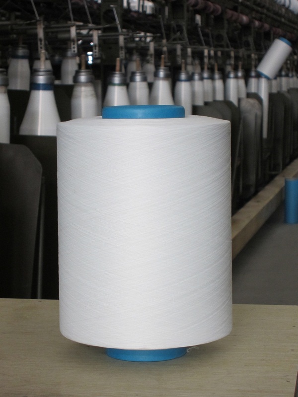 75D/36Fڼ˿900/ 
ؼ: