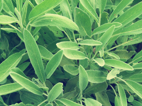 ൺ޹²۸|ൺ޹²ѡٲ㡿 
ؼ: