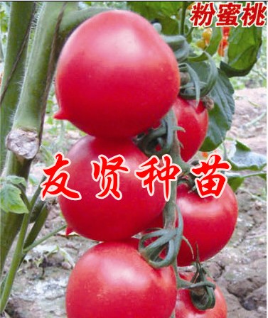 С ӣҷ ڷ  ٹҵ 
ؼ: