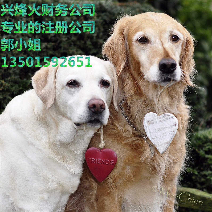 Ǳ԰רҵעṫ˾һ˰ 
ؼ: