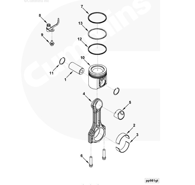 ˹ISF  4995266 
ؼ: