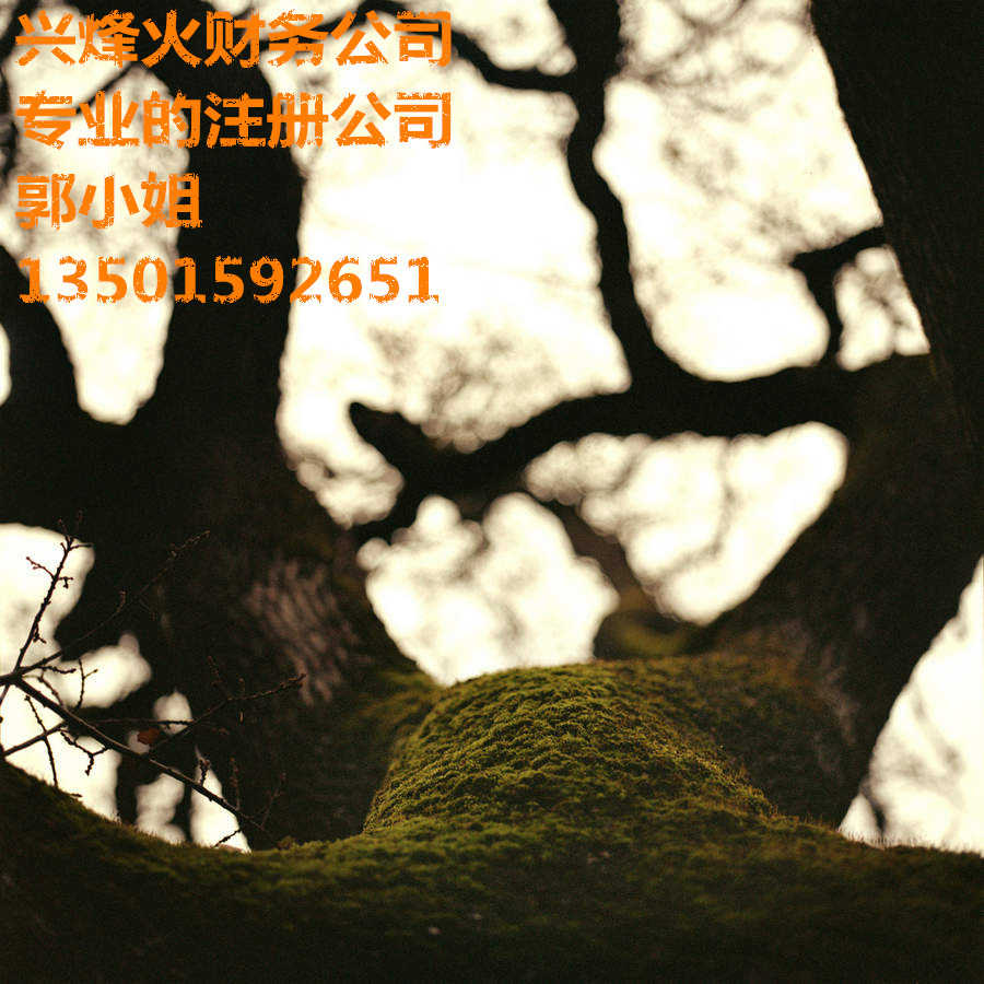 ѧУרҵעṫ˾һ˰ 
ؼ: