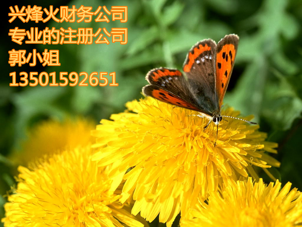 ҵվרҵעṫ˾һ˰ 
ؼ: