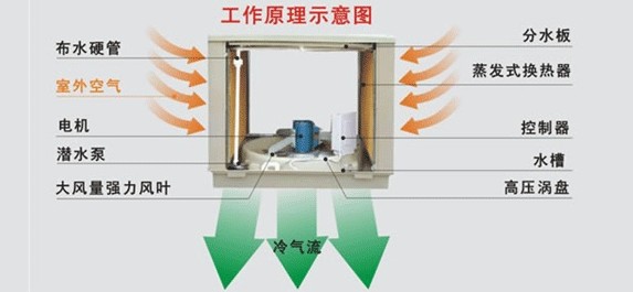 ļͨ罵豸ãѡʪ 
ؼ: