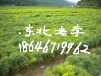 85ĵ绰 ϵ绰 
ؼ: