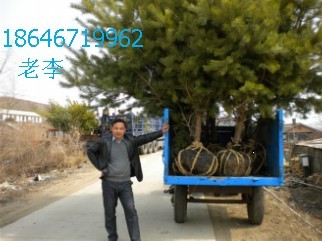 ĵ绰  18646719962 
ؼ:
