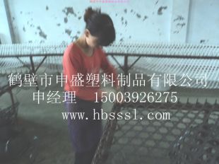 ϱ֯ 羮ȼ 
ؼ: