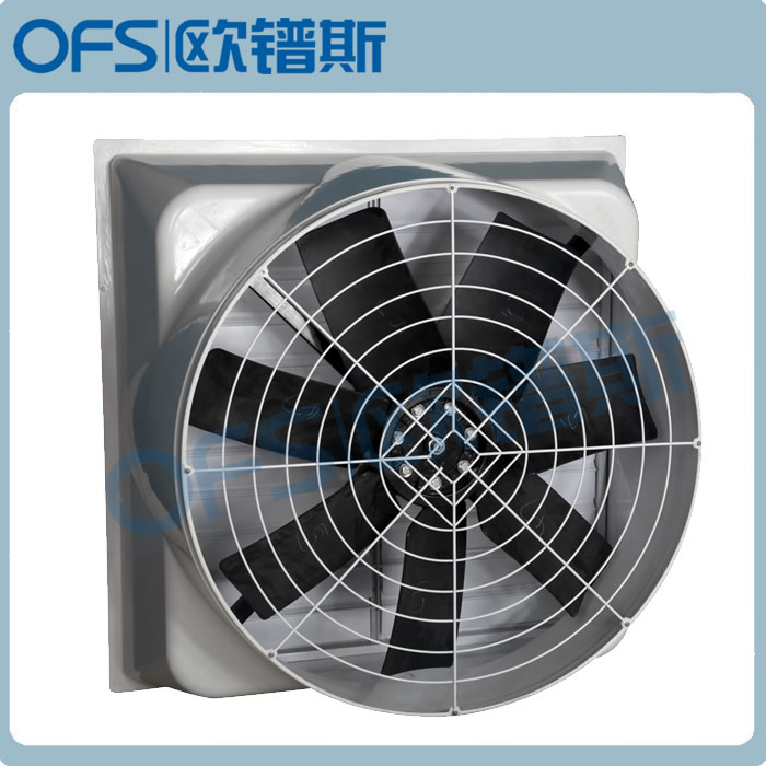 ݸŷ˹ ָѹ  OFS-146 
ؼ: