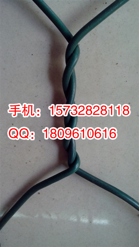 ƷʯҹӦʯ@ʯǮ 
ؼ: