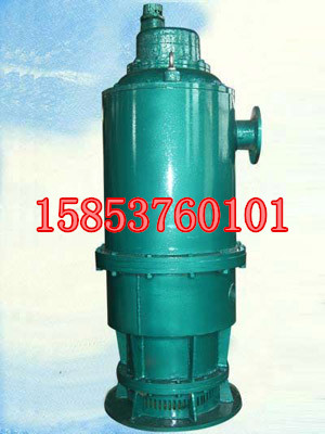 ȫԸ55KWõ綯Ǳˮ 
ؼ: