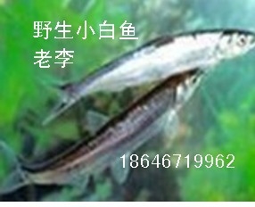 ۺˮС 18646719962 
ؼ: