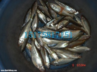 չС20 绰15175817151 
ؼ: