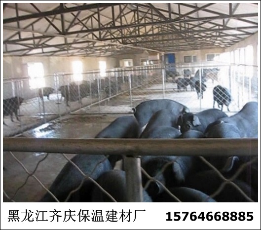 Ὠ裬ᰲװн 
ؼ: