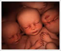 ԭ    0516--85823656 
ؼ: