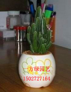 人ֲ 
ؼ: