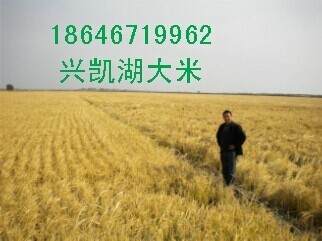 ˿ ۾  18646719962 
ؼ: