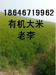 ۺл 18646719962 
ؼ: