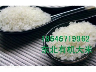 л  ۾  18646719962 
ؼ: