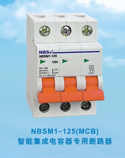 ޹˾ӦȫʡڱõNBSM1-125ܼɵ· 
ؼ: