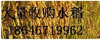 չɽˮ  186 4671 9962 
ؼ: