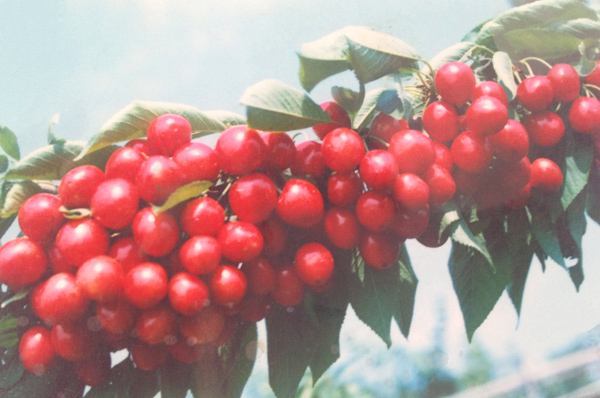 ˷ӣƷ ӣ ӣļҺ 
ؼ: